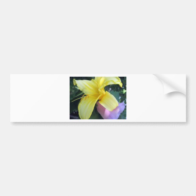 Autocollant De Voiture Lily jaune (Devant)