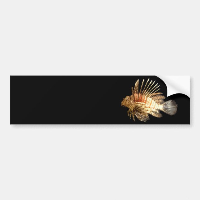 Autocollant De Voiture Lionfish (Devant)