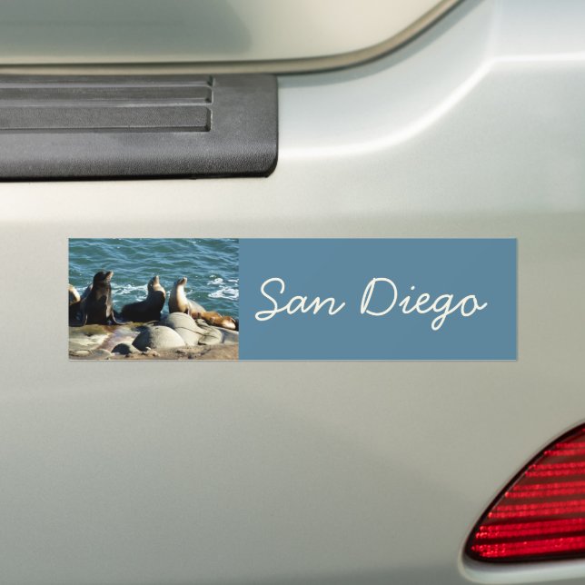Autocollant De Voiture Lions de la mer de San Diego (En voiture)