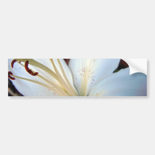 Autocollant De Voiture Lis assez blanc