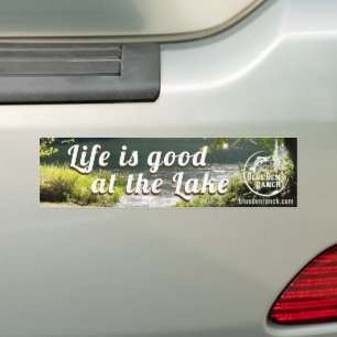 Autocollant De Voiture Live is Good at BDR.