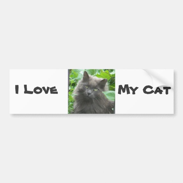Autocollant De Voiture Long Haired Gray Russian Blue Cat (Devant)