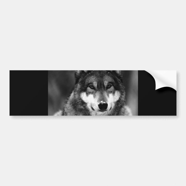 Autocollant De Voiture Loup noir et blanc (Devant)