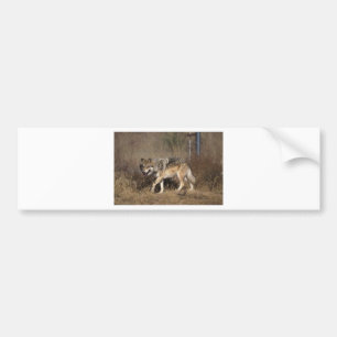 AUTOCOLLANT DE VOITURE LOUPS