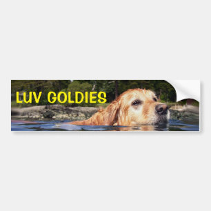 Autocollant De Voiture Love Golden Retrievers - Bumper Sticker