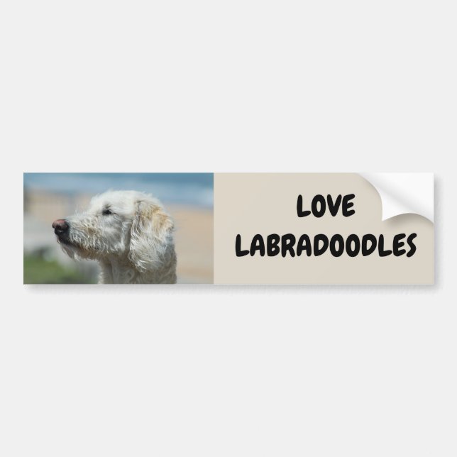 Autocollant De Voiture Love Labradoodles (Devant)