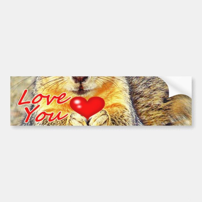 Autocollant De Voiture Love You_ (Devant)