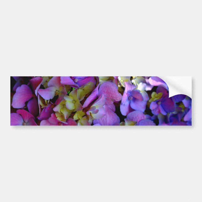 Autocollant De Voiture Magenta Purple bleu jaune Hydrangeas fleurs (Devant)