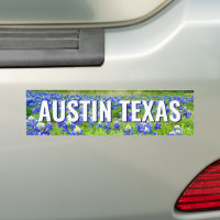 Magnifiques Bluebonnets Austin Texas Photographie
