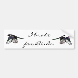 Autocollant De Voiture Magpie - Aquarelle Oiseau