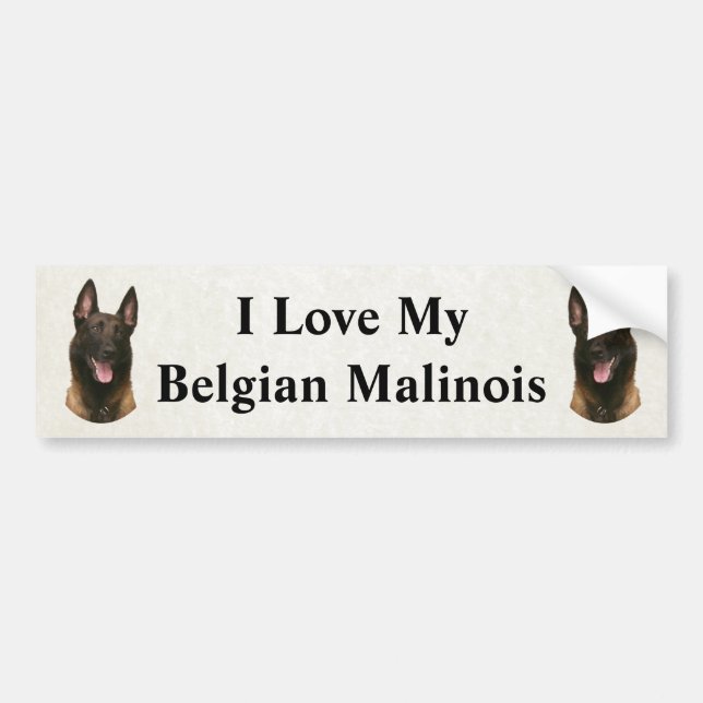 Autocollant De Voiture malinois belge (Devant)