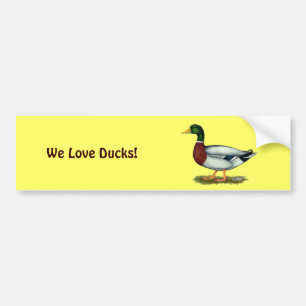Autocollant De Voiture Mallard Duck Drake