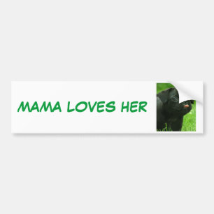 AUTOCOLLANT DE VOITURE MAMAN LOVES HER PUGS