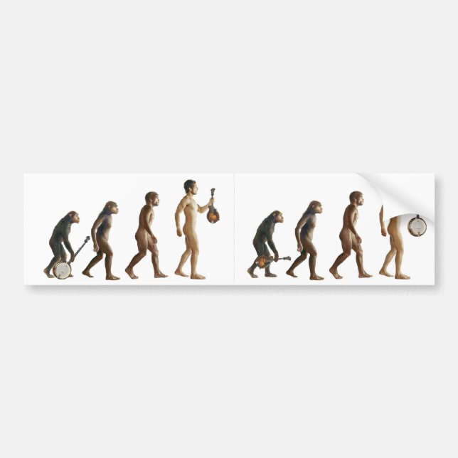 Autocollant De Voiture Mandolution (Devant)