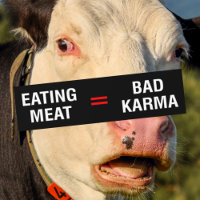 Manger De La Viande = Mauvais Karma, Activisme Vég
