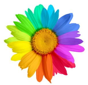 Stickers Magnets Pour Voiture Fleur Marguerite Zazzle Fr