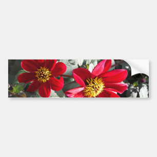 Autocollant De Voiture marguerite rose chaud rouge / marguerites fleurs