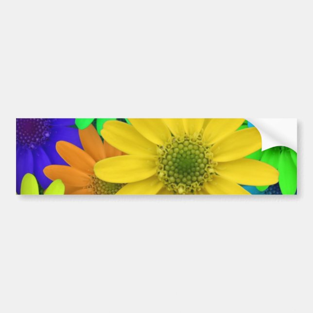 Autocollant De Voiture Marguerites colorées multi (Devant)
