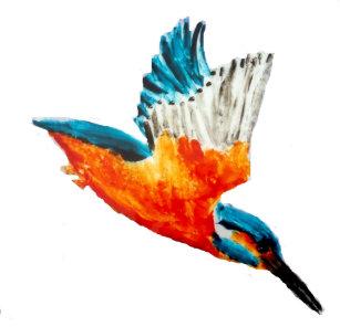 Cadeaux Peinture Martin Pêcheur | Zazzle.fr