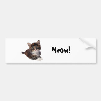 Autocollant De Voiture Meow !