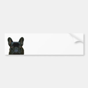 Autocollant De Voiture Mignon Black French Bulldog Frenchie Photo :