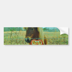 Autocollant De Voiture Miniature cheval Brown Valentine Heart