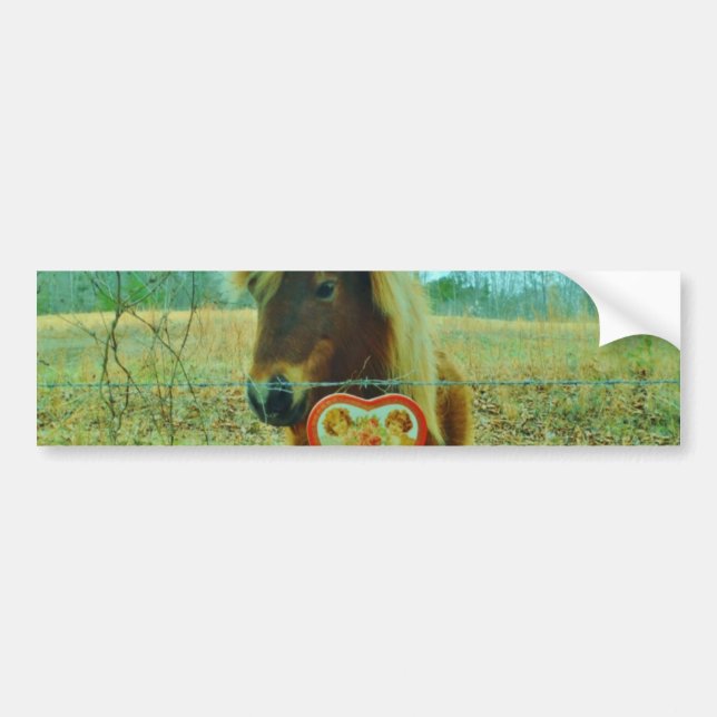 Autocollant De Voiture Miniature cheval Brown Valentine Heart (Devant)