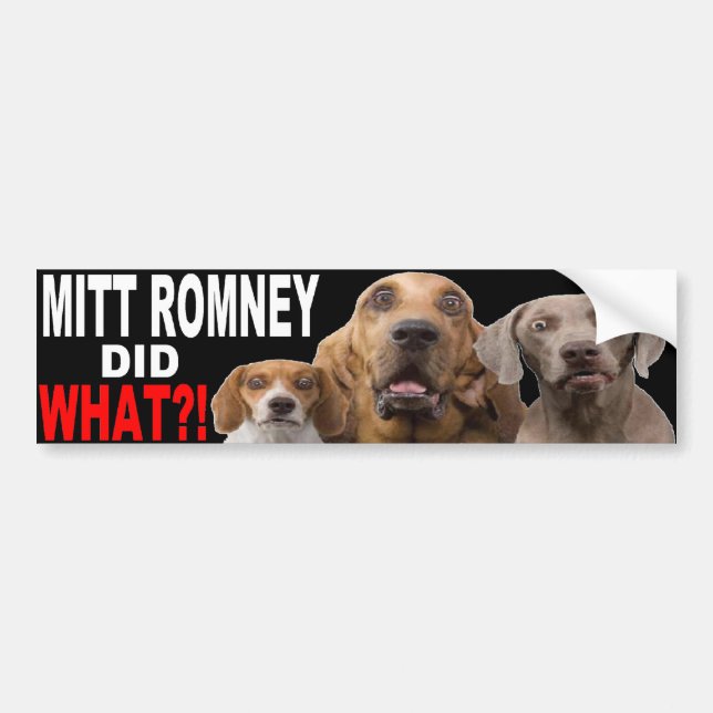 Autocollant De Voiture MITT ROMNEY A FAIT CE QUI ? ! Chien sur l'ADHÉSIF (Devant)