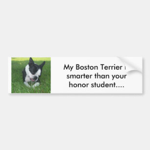 Autocollant De Voiture Mon Boston Terrier est plus futé que votre honneu