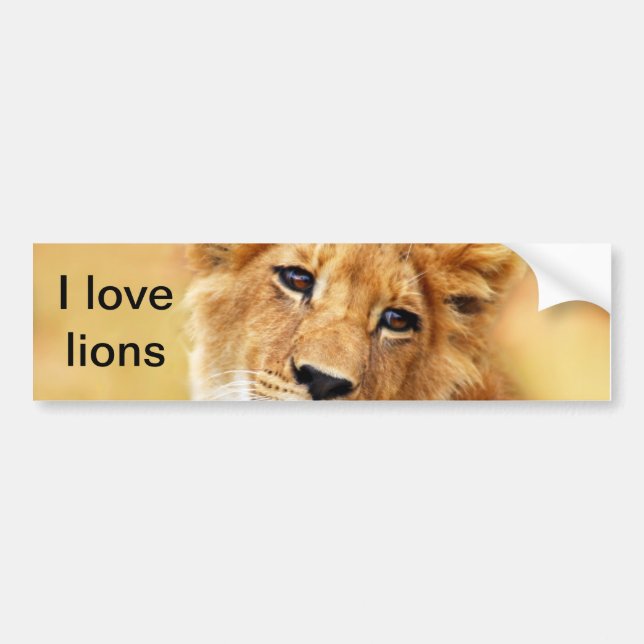 Autocollant De Voiture Mon joli visage de lion (Devant)
