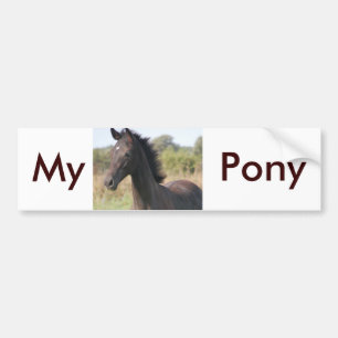 Autocollant De Voiture Mon nouveau pony
