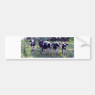 Autocollant De Voiture Moooooo