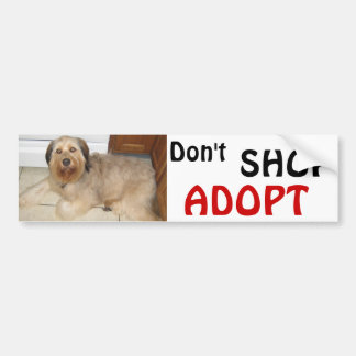AUTOCOLLANT DE VOITURE N'ACHETEZ PAS ~ ADOPT!