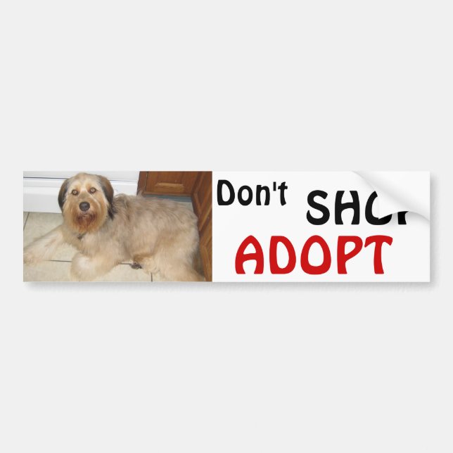 AUTOCOLLANT DE VOITURE N'ACHETEZ PAS ~ ADOPT! (Devant)