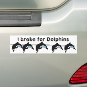 Autocollant De Voiture Nager Avec Les Dauphins