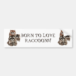 AUTOCOLLANT DE VOITURE NÉ POUR AIMER RACCOONS FUNNY ANIMAL QUOTE