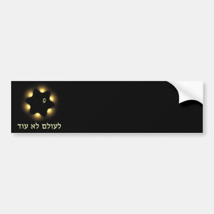 Autocollant De Voiture Never Again Fractal Star Of David