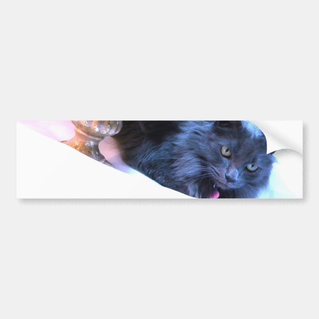 Autocollant De Voiture Noël gris Kitty III (Devant)