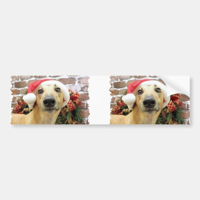 Autocollant De Voiture Noël - lévrier - Pena (Devant)