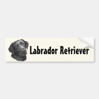 Autocollant De Voiture Noir/chocolat labrador retriever