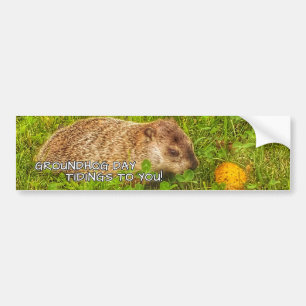 Autocollant De Voiture Nouvelles de jour de Groundhog à vous ! adhésif