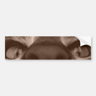 Autocollant De Voiture oeil vous voyez