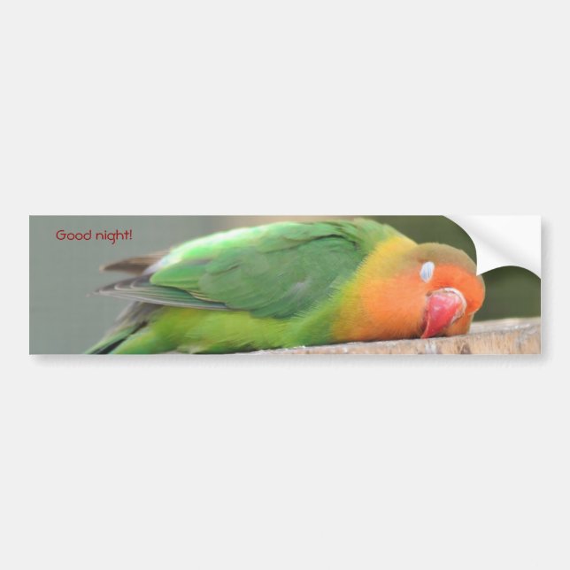 Autocollant De Voiture Oiseau d'amour dormant (Devant)