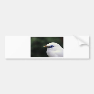 Autocollant De Voiture Oiseaux