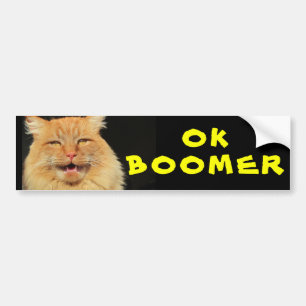 Autocollant De Voiture OK BOOMER Funny Cat Meme