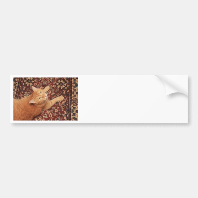 Autocollant De Voiture Orange Tabby (Devant)