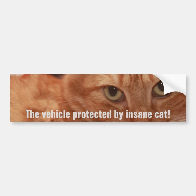 Autocollant De Voiture Orange Tabby (Devant)