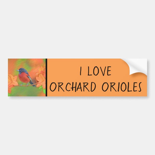 Autocollant De Voiture Orchard Oriole Songbird Peinture Oiseau original (Devant)