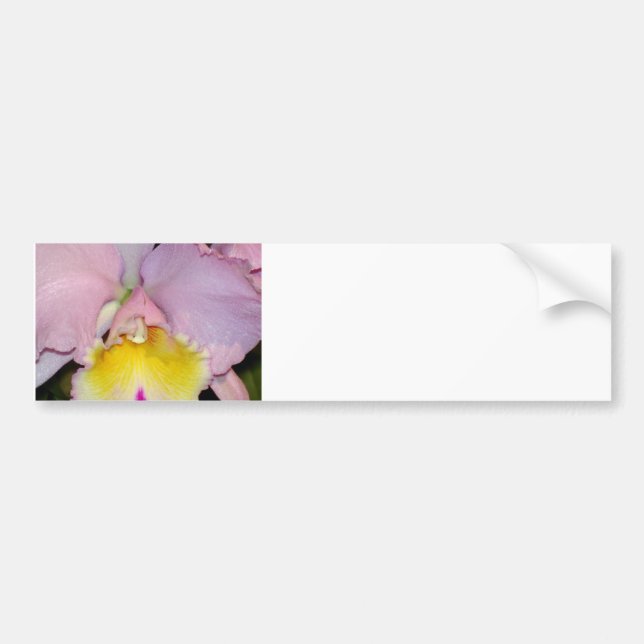 Autocollant De Voiture Orchidée de printemps (Devant)