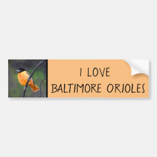 Autocollant De Voiture Oriole Painting - Original Bird Art